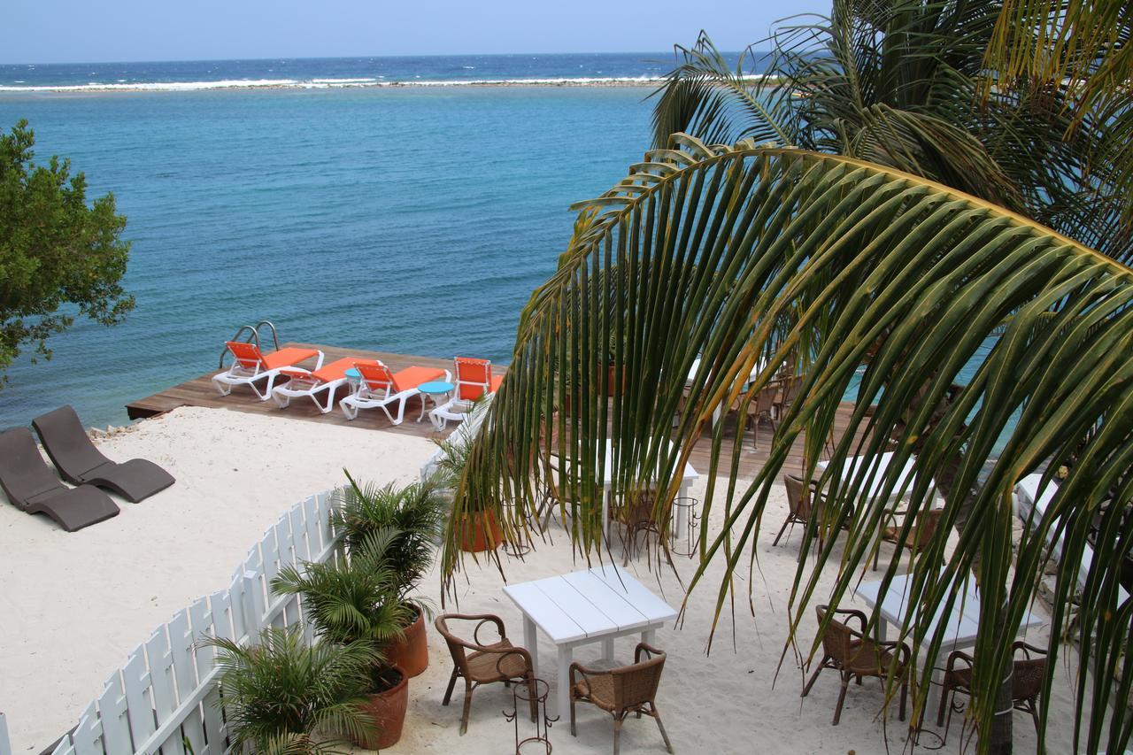 Coral Reef Beach Savaneta Extérieur photo