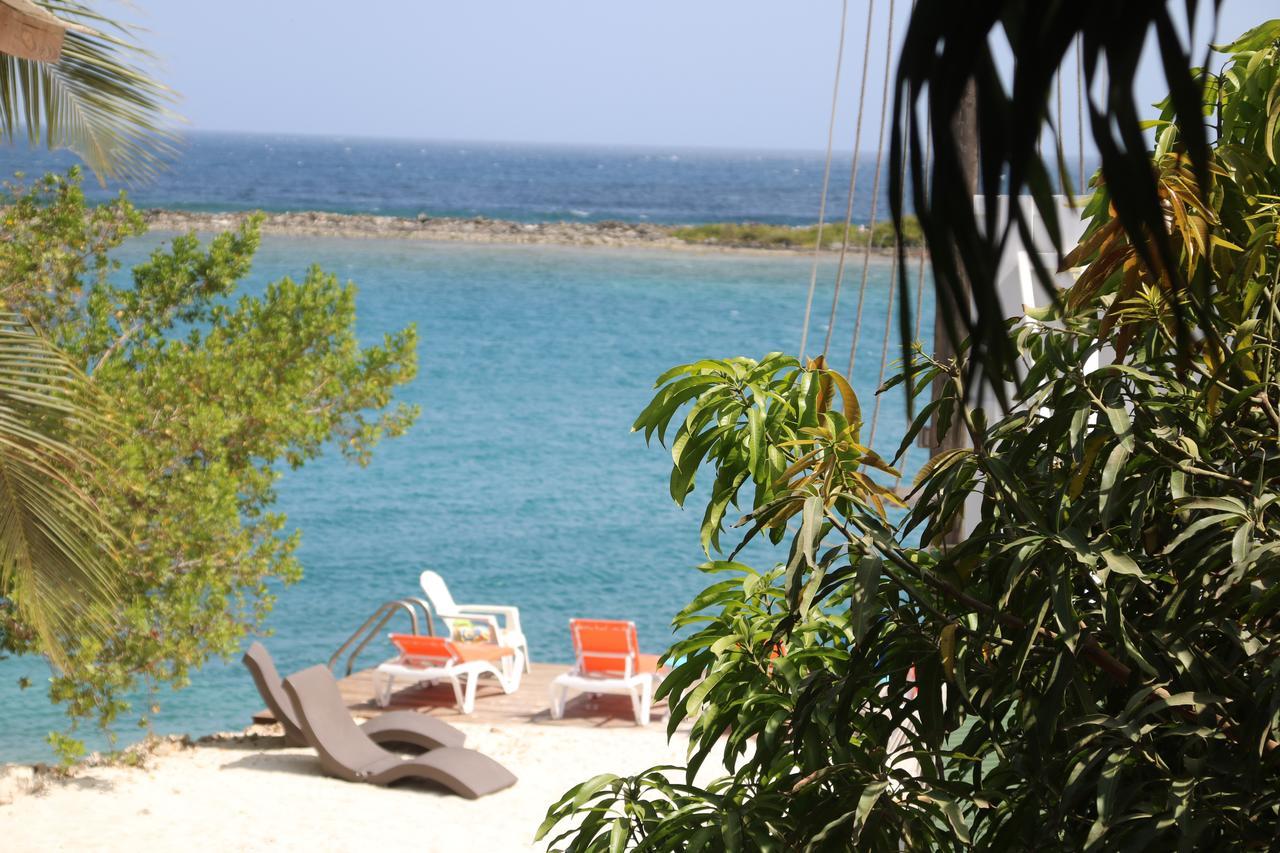 Coral Reef Beach Savaneta Extérieur photo