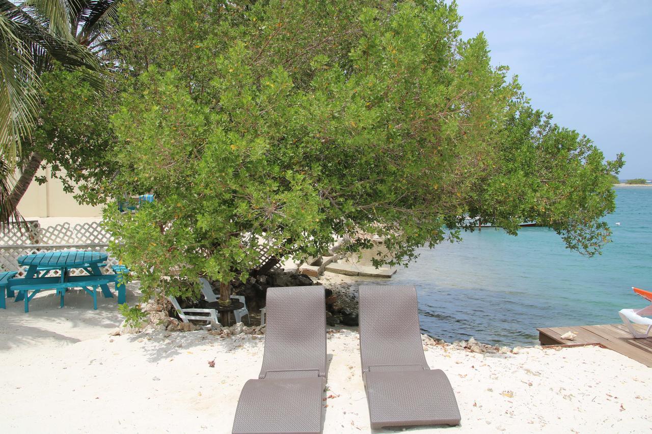 Coral Reef Beach Savaneta Extérieur photo