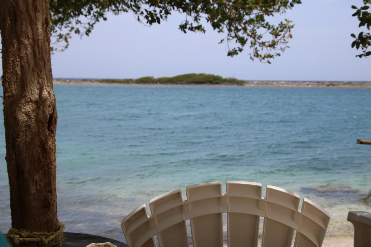 Coral Reef Beach Savaneta Extérieur photo