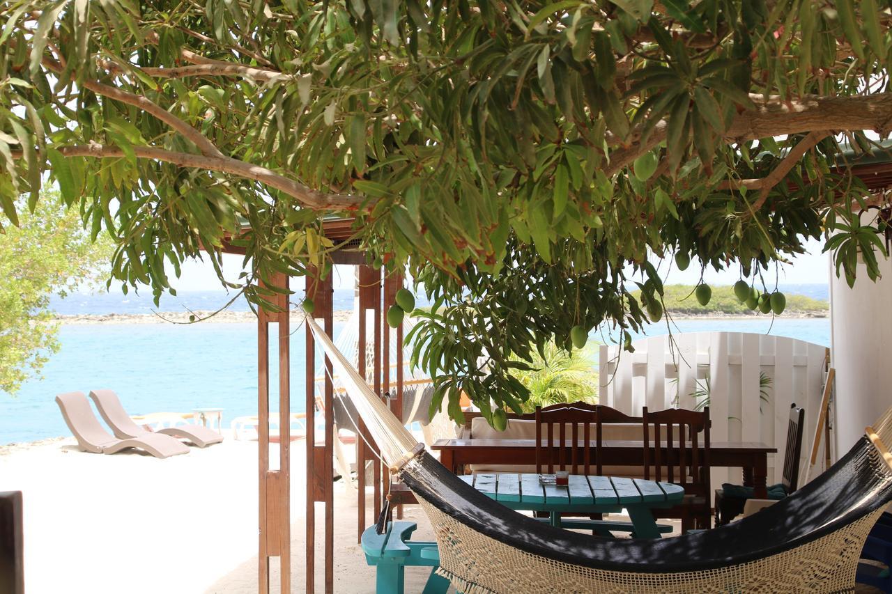 Coral Reef Beach Savaneta Extérieur photo
