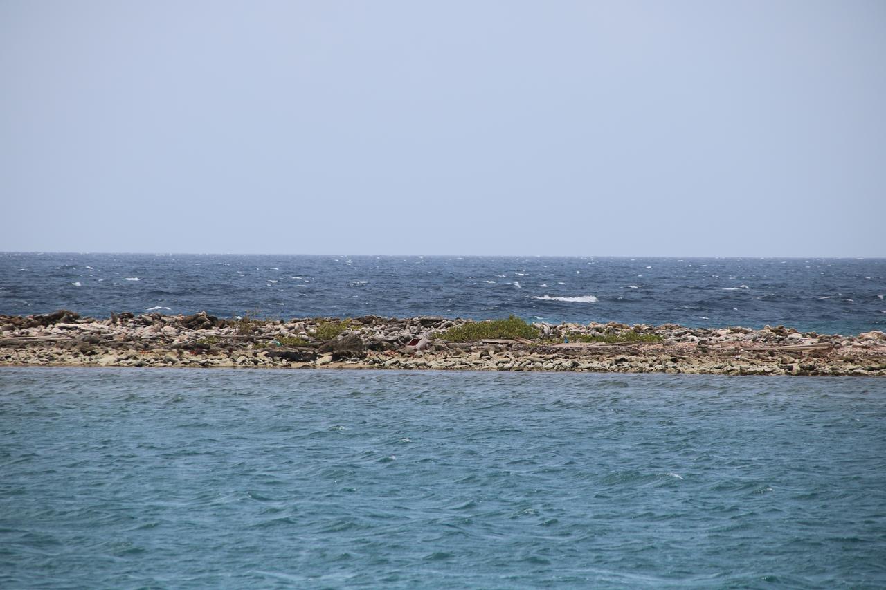 Coral Reef Beach Savaneta Extérieur photo