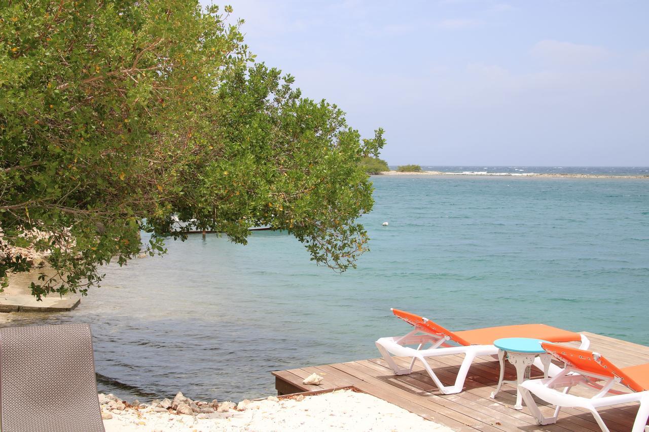 Coral Reef Beach Savaneta Extérieur photo