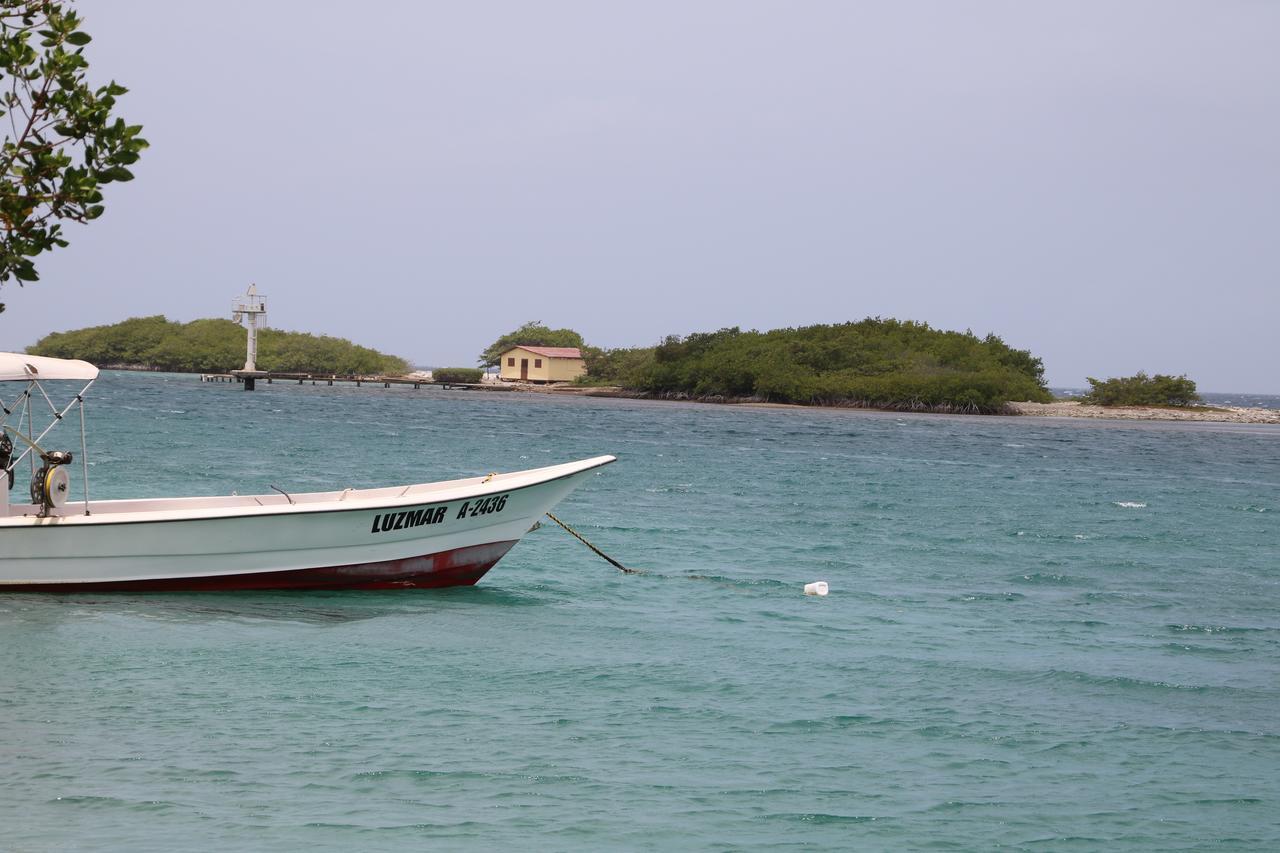 Coral Reef Beach Savaneta Extérieur photo